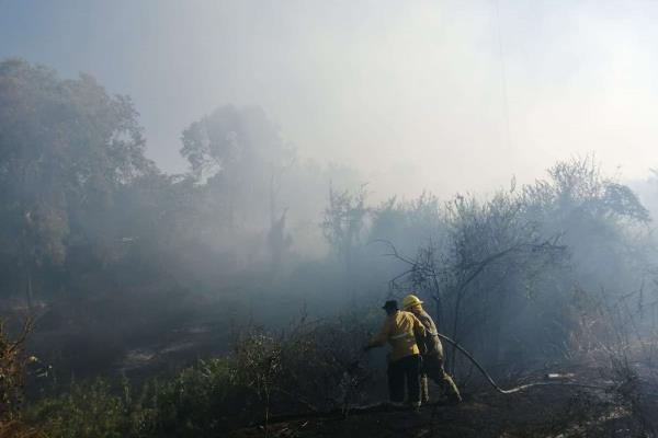 Cortina de humo cubre el sector Tres Ríos tras incendio junto al Parque Las Riberas