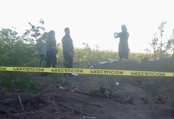 Localizan osamentas de dos mujeres en El Burrión, Guasave