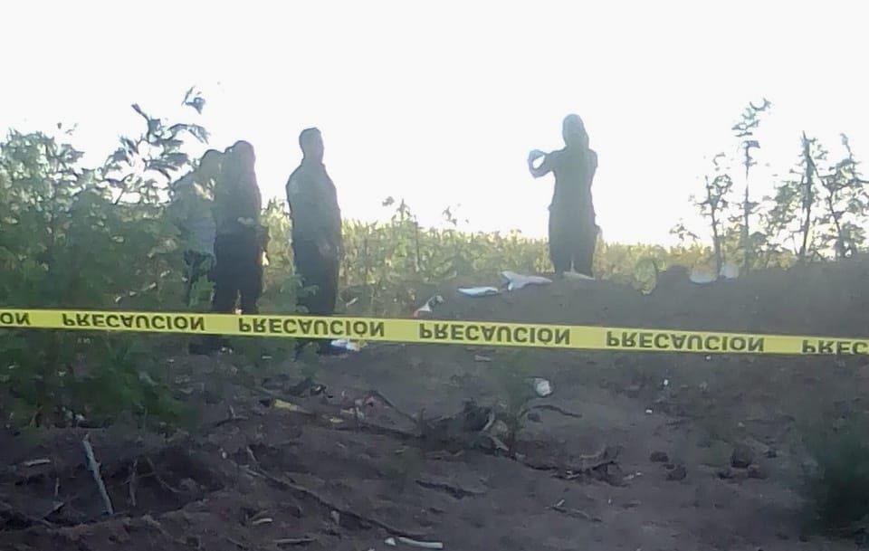 Localizan Osamentas De Dos Mujeres En El Burrión, Guasave | Luz Noticias