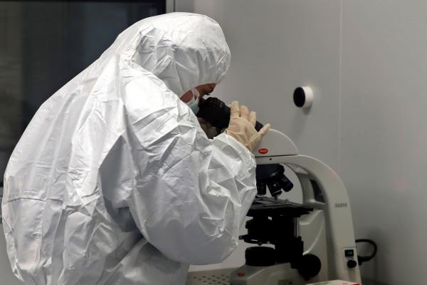 La OMS alerta de que la nueva hepatitis es un tema «muy urgente»