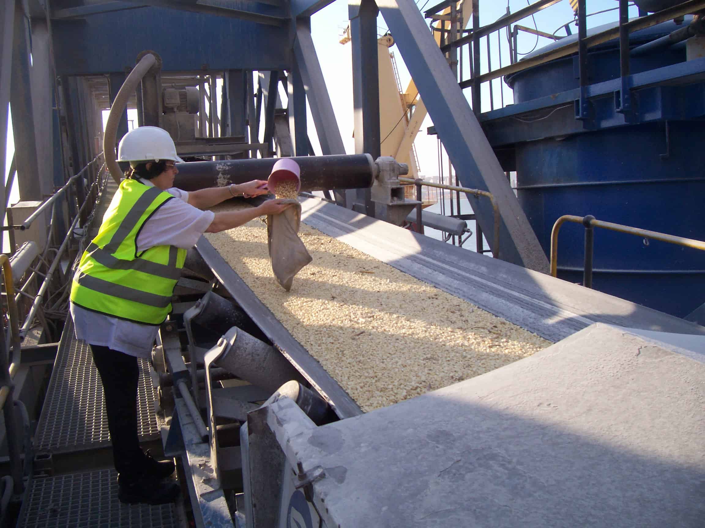 Imagen Placeholder Imagen Placeholder