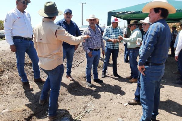 Se encamina Sinaloa hacía una agricultura más orgánica