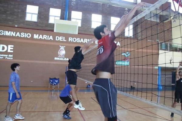 «En voleibol de sala Sinaloa tiene posibilidades de medalla en los JNC»: Ramón Meza