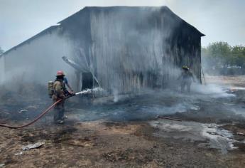 Se incendia bodega y parte de un vivero en El Walamo