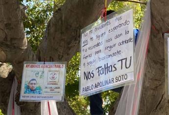 «Árbol de la vida» se llena de fotos de personas desaparecidas en Mazatlán