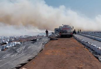 Se incendia cultivo de 7 hectáreas de arándanos en el ejido Primero de Mayo