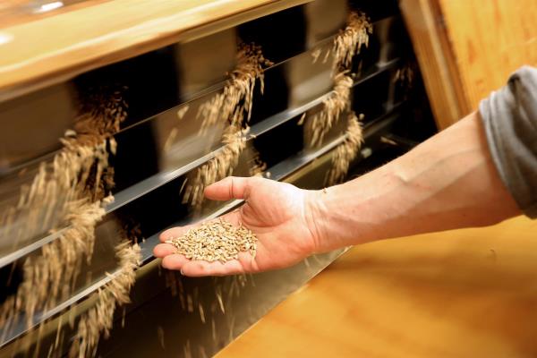 Rusia advierte que no exportará cereales en detrimento de su propio mercado
