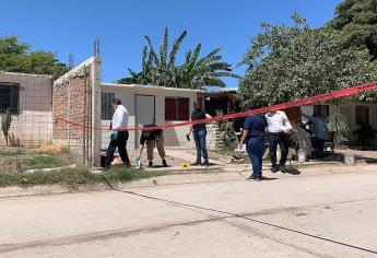 Hombre que atropelló y mató a su vecino se escondió en el monte, ahí fue detenido