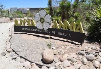 «Jardín Etnobiológico del Parque Sinaloa es acercamiento a cultura indígena», Domingo Vázquez