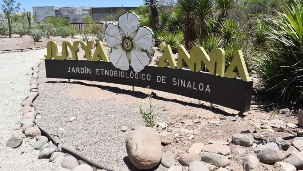 «Jardín Etnobiológico del Parque Sinaloa es acercamiento a cultura indígena», Domingo Vázquez