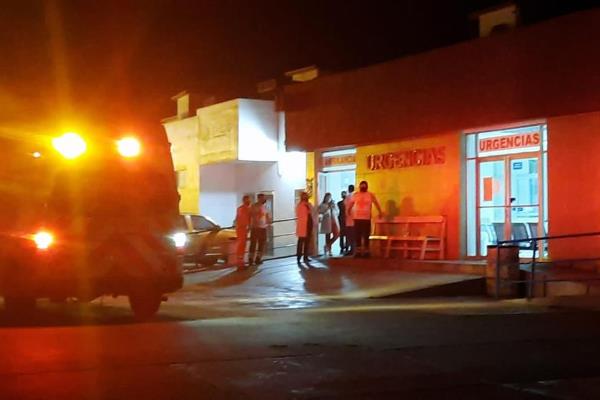 Abejas matan a un hombre en unas tierras de cultivo de Guasave