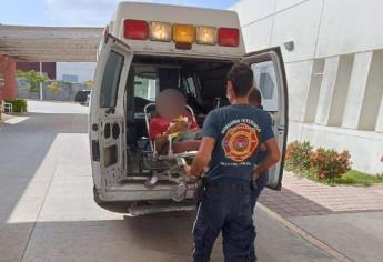 Cocodrilo ataca a adulto mayor y lo manda a urgencias en Mazatlán