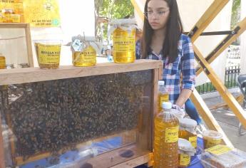 Apiterapia, medicina alternativa con abejas