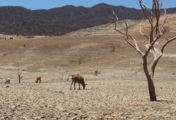 Sinaloa, dentro de los 5 estados con mayor sequía en México