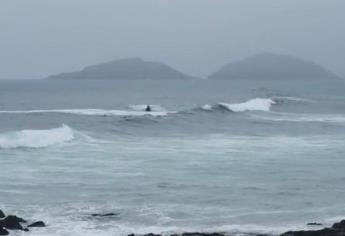 Rescatistas salvan la vida a surfista que fue golpeado por una ola