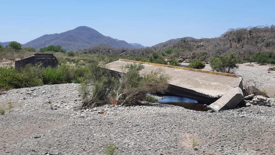 En el sur de Sinaloa se tienen olvidadas las obras públicas: CMIC