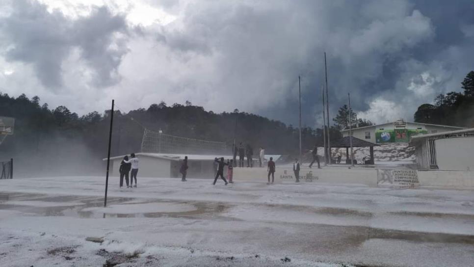 Granizo «pinta de blanco» a Santa Gertrudis, Badiraguato