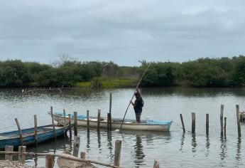 Van por el rescate del Huizache Caimanero en apoyo a pescadores de El Rosario