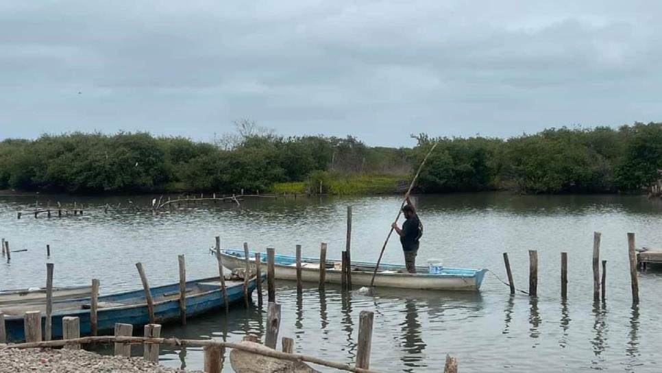 Van por el rescate del Huizache Caimanero en apoyo a pescadores de El Rosario