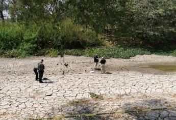 Encuentran cráneo junto al Parque Acuático de Culiacán