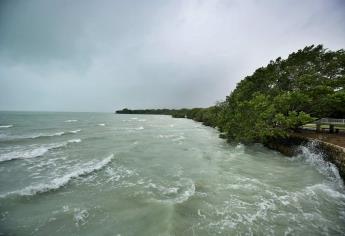 Se forma tormenta tropical Celia en costas de Chiapas