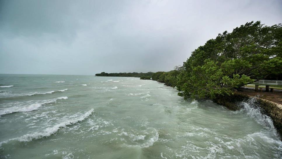 Se forma tormenta tropical Celia en costas de Chiapas