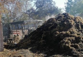 Incendio en Compuertas consume un camión, 400 pacas de frijol y varios animales