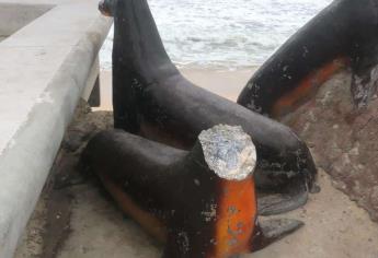 «No fue vandalismo, se cayó sola»: Policía sobre cabeza de figura de Lobo Marino