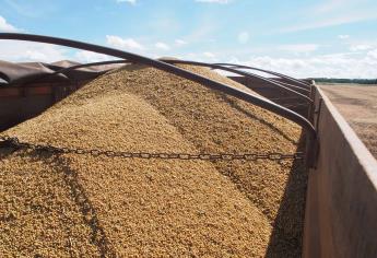 EUA pierde terreno frente a Brasil en exportaciones de granos