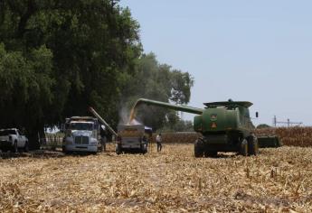 Rocha Moya es un aliado del Campo: CAADES