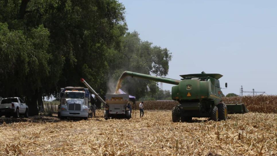 Rocha Moya es un aliado del Campo: CAADES