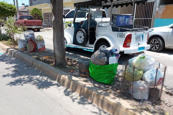 Denuncian falta de recolección de basura en la Lico Velarde y Jacarandas, Mazatlán