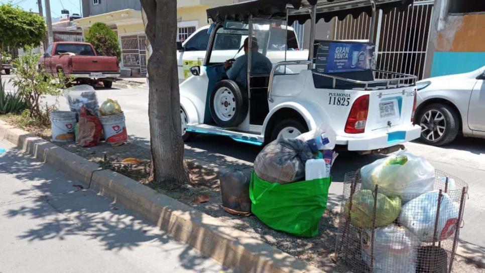 Denuncian falta de recolección de basura en la Lico Velarde y Jacarandas, Mazatlán