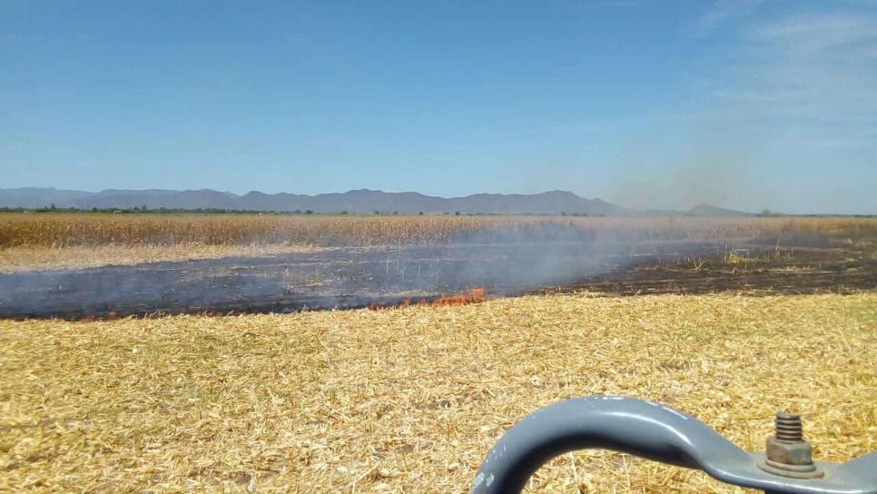 Quema de soca, razón por la cual no llueve en Los Mochis: experto