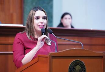Inicia reparación de la México 15 en límites de Sonora y Sinaloa: Elizabeth Chía