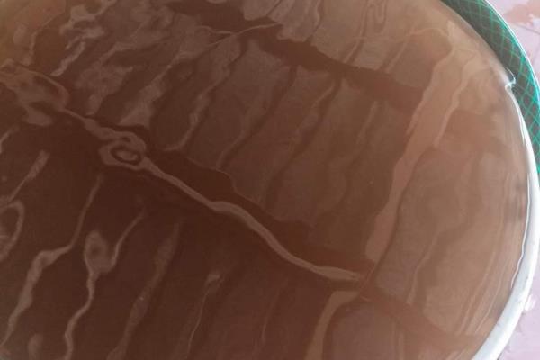 Habitantes de San Blas se quejan de agua potable de pésima calidad