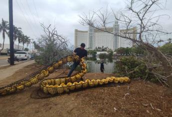 Colocan 36 metros de Biobarda en Mazatlán para retener la basura en Estero del Yugo