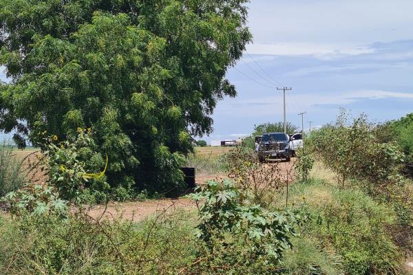 Hallan camionetas en Guasave con dos personas sin vida