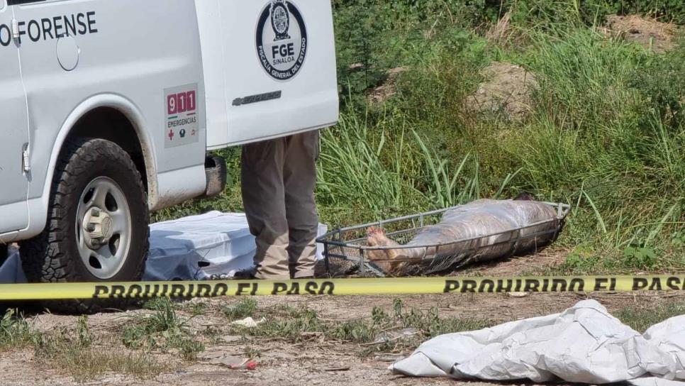 Hallan cadáver emplayado dentro de un canal de riego, en San Pedro, Navolato