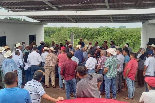 Coyotes buscan desplomar precio del mango