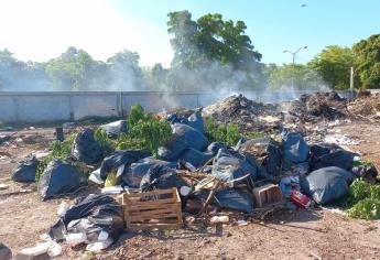 Aumentan denuncias en Ahome por falta de recolección de la basura