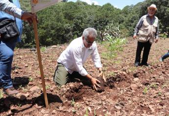 Más de 9 mil sembradoras y sembradores de Sinaloa en la Tercera Jornada Nacional de Siembra