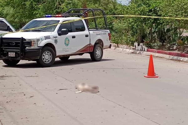 Sujeto que disparó y mató una perrita en Los Mochis sale libre, nadie denunció