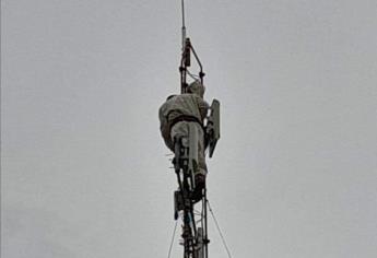Hombre daba mantenimiento a torre de internet y enjambre lo ataca: el afectado quedó atrapado a más de 20 metros