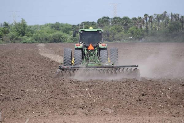 Sinaloa condiciona a aseguradora para contrato de seguro catastrofico