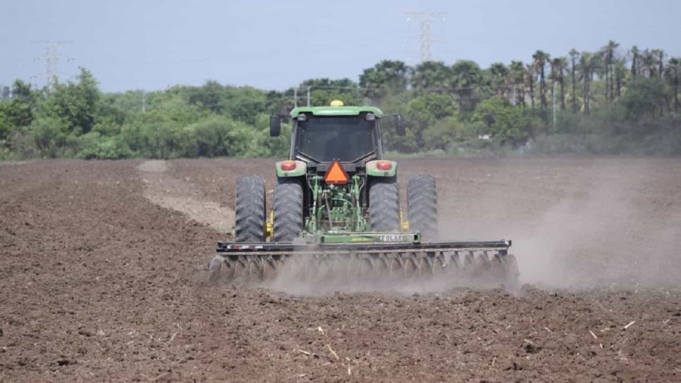 Sinaloa condiciona a aseguradora para contrato de seguro catastrofico