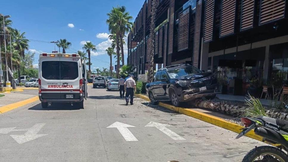 Hombre derriba palmera y casi termina en las mesas de una plaza