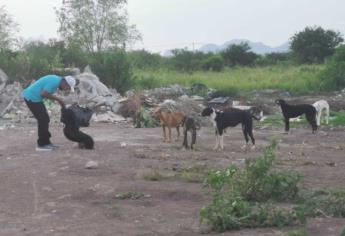 Amenazan a animalista en Ampliación Viñedos, en Los Mochis