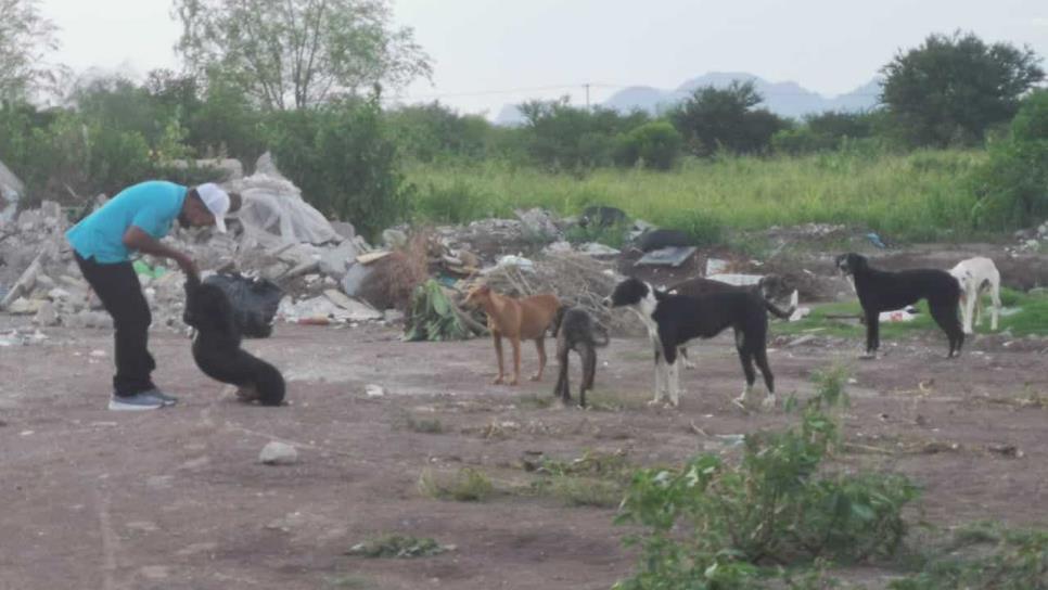 Amenazan a animalista en Ampliación Viñedos, en Los Mochis