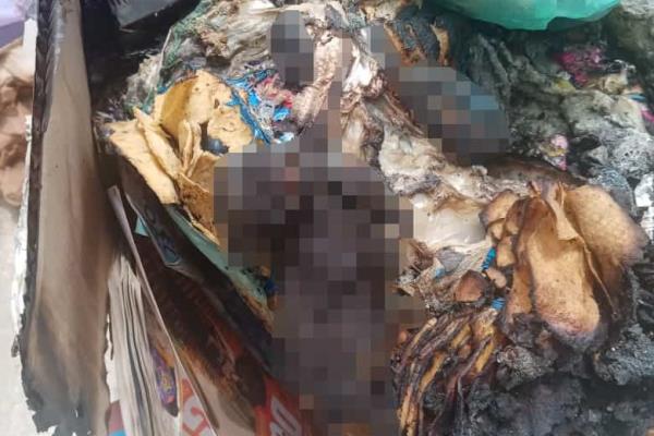 Denuncian a veterinaria por arrojar a perro calcinado a la basura común